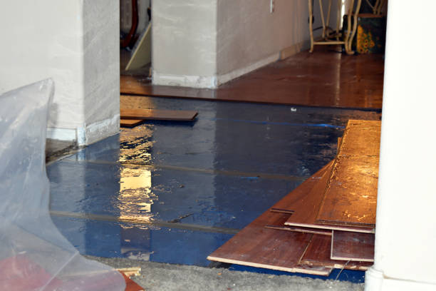 Professional Water Damage Restoration technician working in Burgin, KY